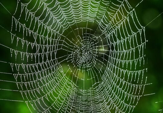 Cardano Network Resilient Against DDoS Attack: Learn How It Stood Strong