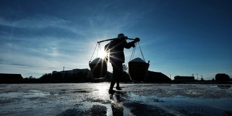 Future Job Automation: 12 Positions ChatGPT Could Displace