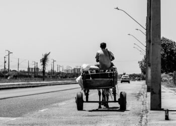 Is your Job Safe From AI Disruption: Exploring Careers Unlikely to be Automated