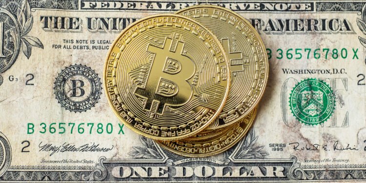 Testing the Waters: Can Cryptocurrency Markets Drive U.S. Dollar and Treasury Demand?